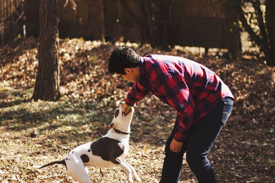 Interactive Dog Football Toy