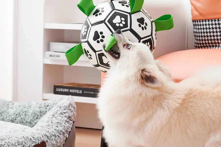 Interactive Dog Football Toy