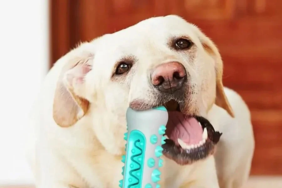 "Chew & Clean" Dog Toothbrush Toy