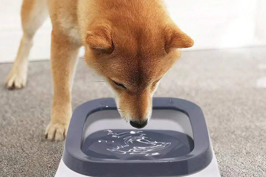 Spill-Proof & Non-Wetting 1.5L Pet Water Bowl