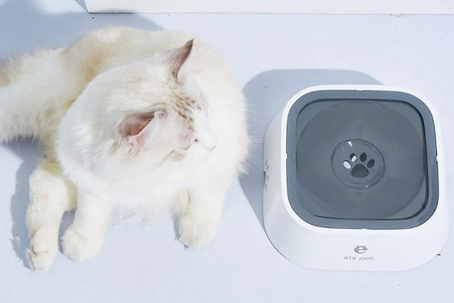 No-Mess Water Bowls for Pets