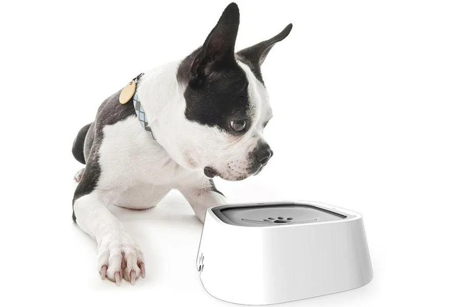 No-Mess Water Bowls for Pets